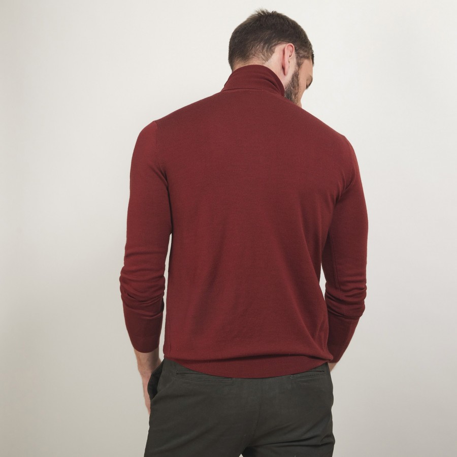 Pull col roulé en laine mérinos - Enzo