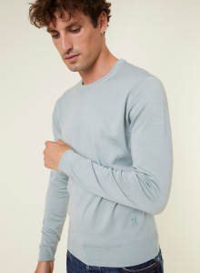 Crew neck sweater with logo in merino wool - Eddie