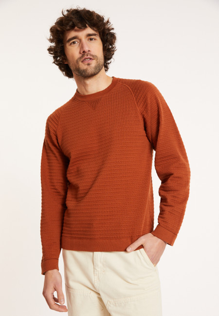 Raglan sleeve cotton sweater - Dwight