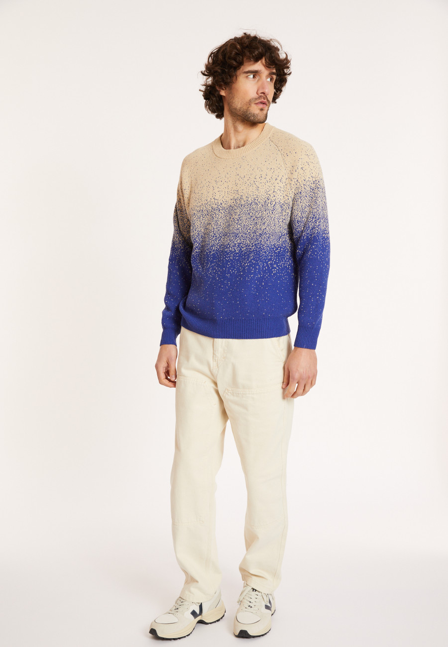 Two-tone brushed cotton sweater - Doryan