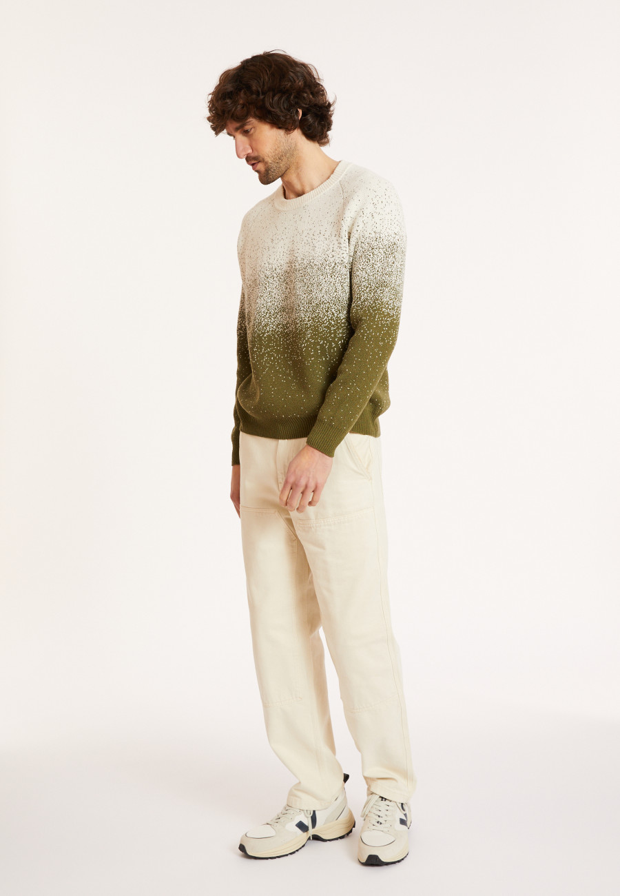 Zweifarbiger Pullover aus gebürsteter Baumwolle - Doryan