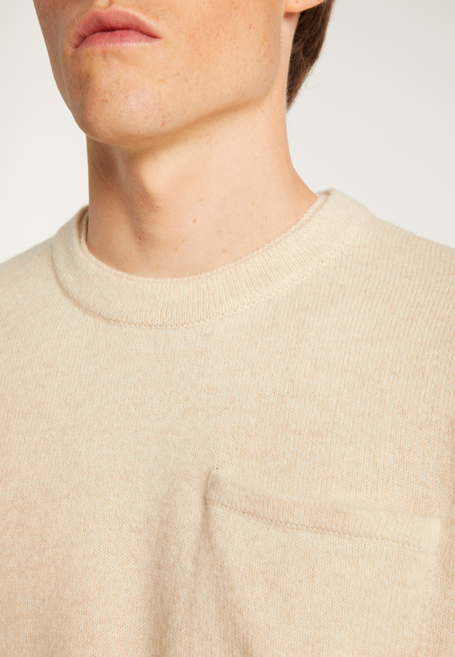 Wool and cashmere crewneck sweater - Tylan