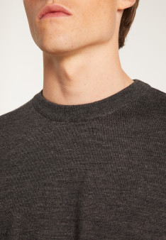 Merino wool crewneck sweater - Thierry