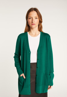 V-neck buttoned cardigan in merino wool - Alister