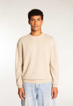 Merino wool crewneck sweater - Thomas