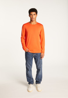 Merino Wool Crewneck Sweater - Erin