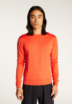 Crew neck sweater with logo in merino wool - Eddie