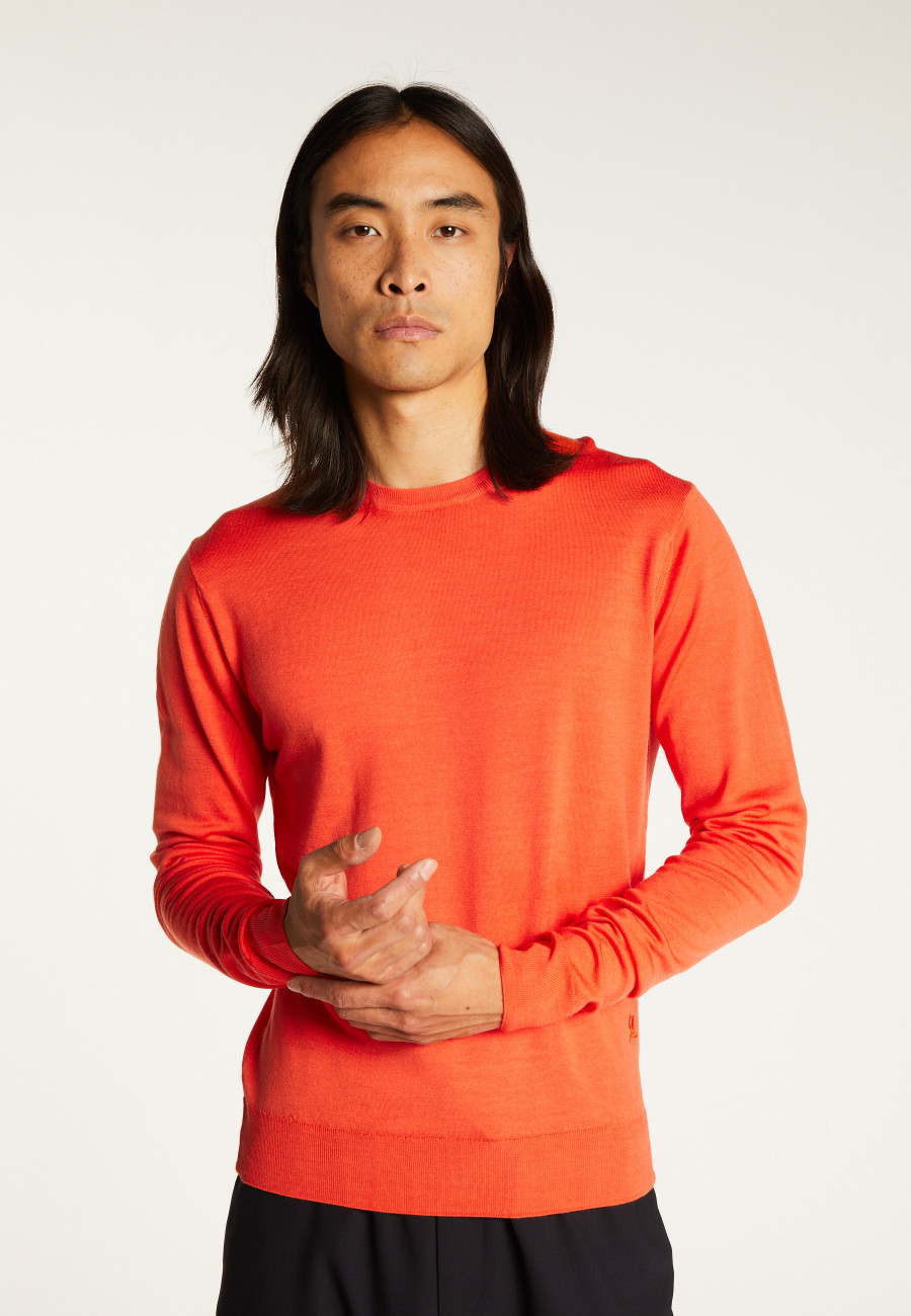 Crew neck sweater with logo in merino wool - Eddie