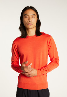 Crew neck sweater with logo in merino wool - Eddie