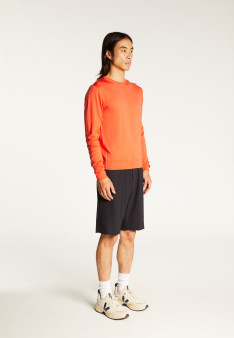 Crew neck sweater with logo in merino wool - Eddie