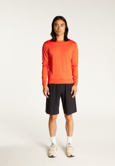 Crew neck sweater with logo in merino wool - Eddie