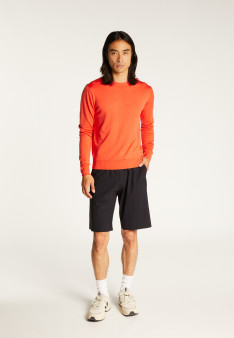 Crew neck sweater with logo in merino wool - Eddie