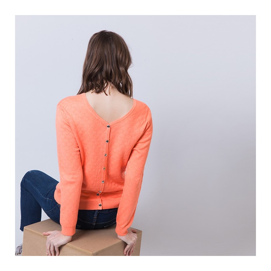 Cotton and cashmere back buttoned sweater Ariel