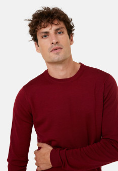Crew neck sweater with logo in merino wool - Eddie