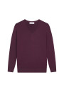 Pull col V en laine mérinos - Arya 7882 prune - 18 Violet foncé