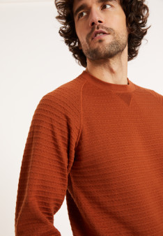 Pull en coton manches raglan - Dwight 8111 cannelle - 07 Marron