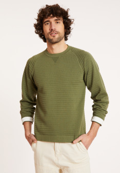Pull en coton manches raglan - Dwight 8164 cactus - 83 Kaki