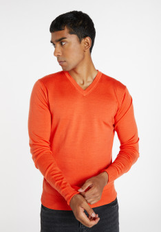 Pull col V avec logo en laine mérinos - Elmo 8270