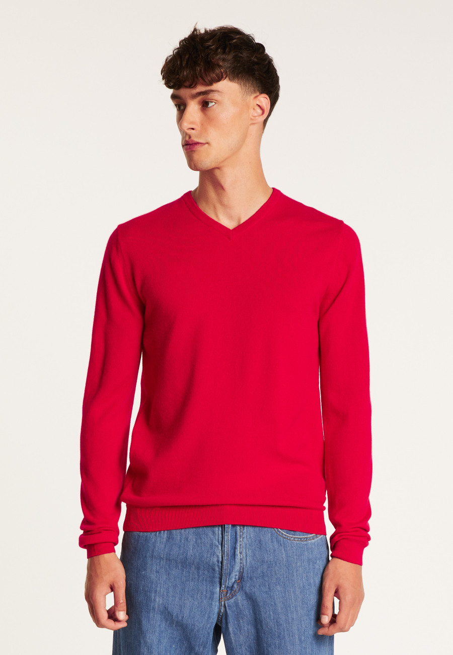 V-neck cashmere sweater - Benjamin V-neck cashmere sweater - Benjamin