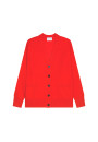Cashmere buttoned vest - Ariel