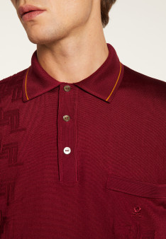 Polo Fil Lumière à motifs - Stanley