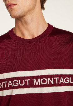 T-shirt in Fil Lumière - Morris