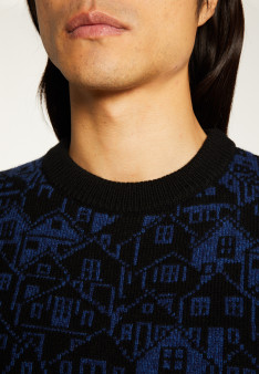 Mixed wool and cashmere sweater - Swann