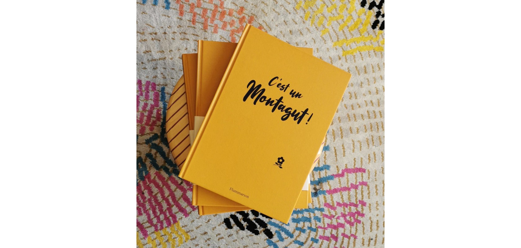 The book about the history of Montagut